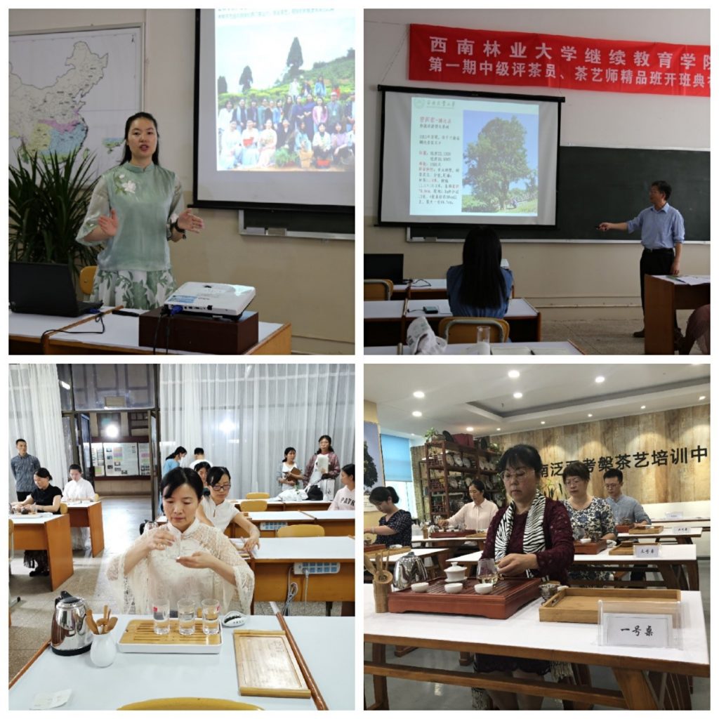 九游app(中国)官方网站
