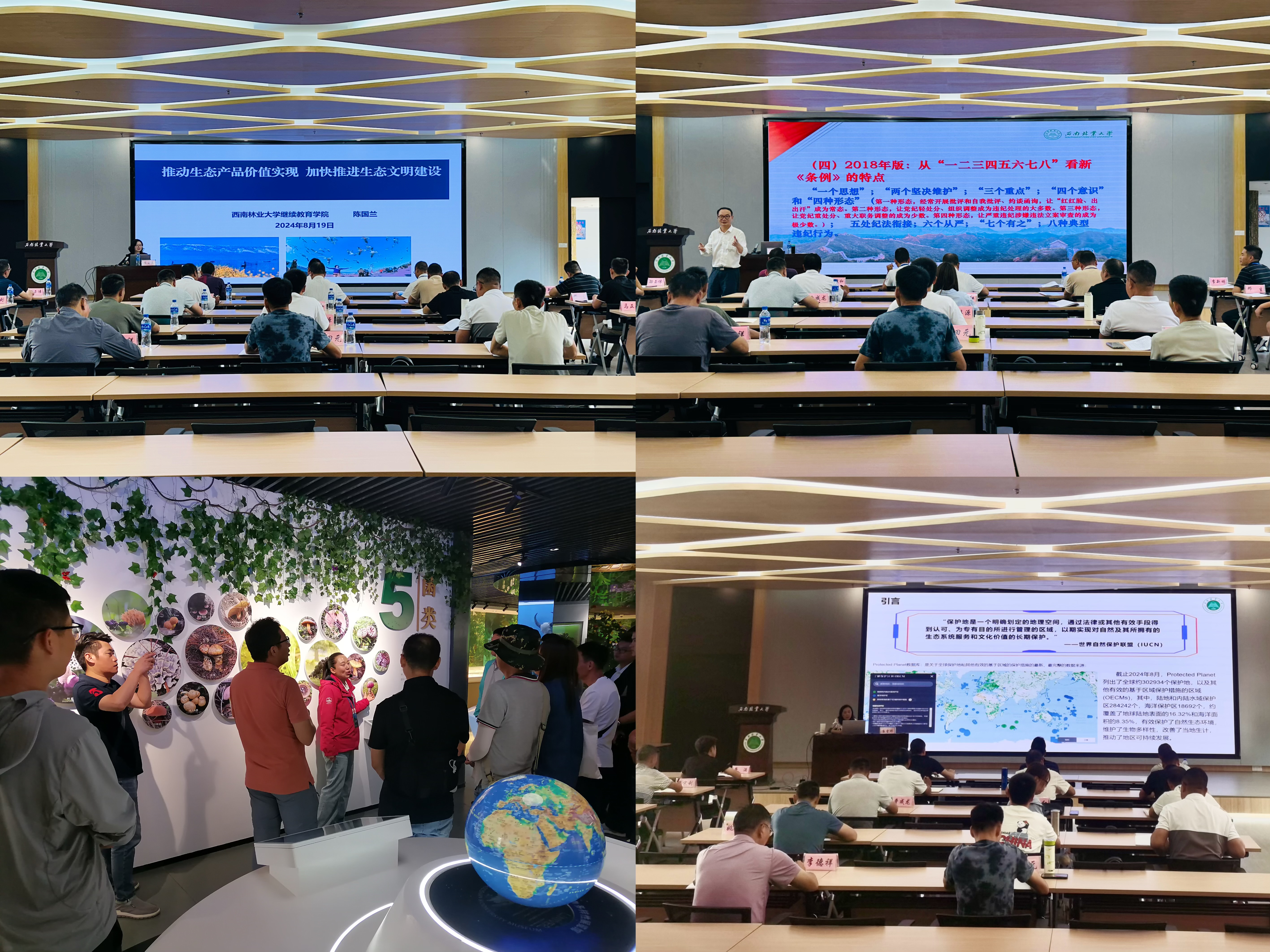 九游app(中国)官方网站