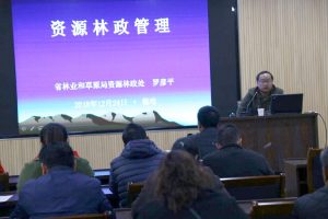 九游app(中国)官方网站