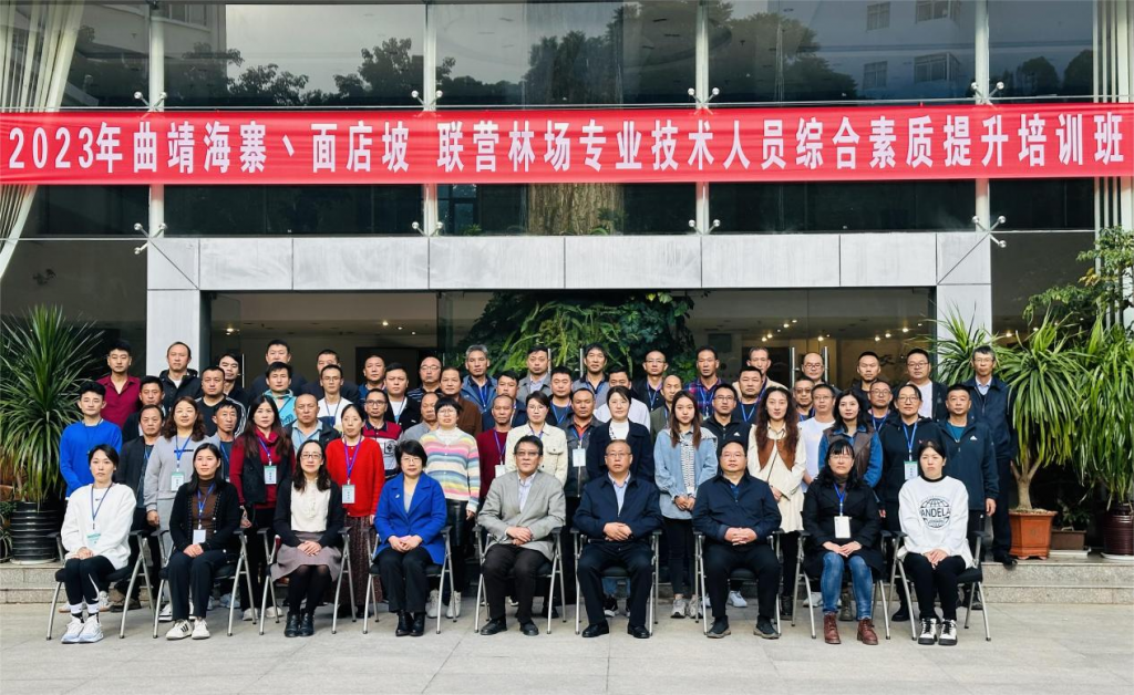 九游app(中国)官方网站