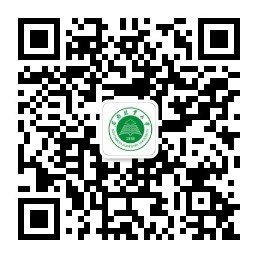 九游app(中国)官方网站