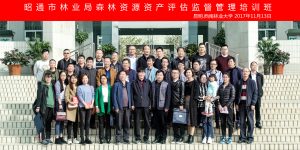 九游app(中国)官方网站