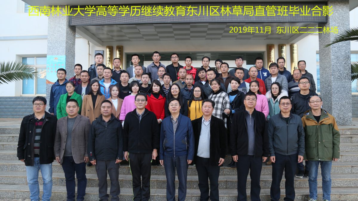 九游app(中国)官方网站