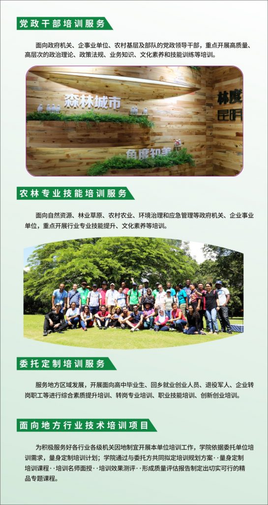 九游app(中国)官方网站