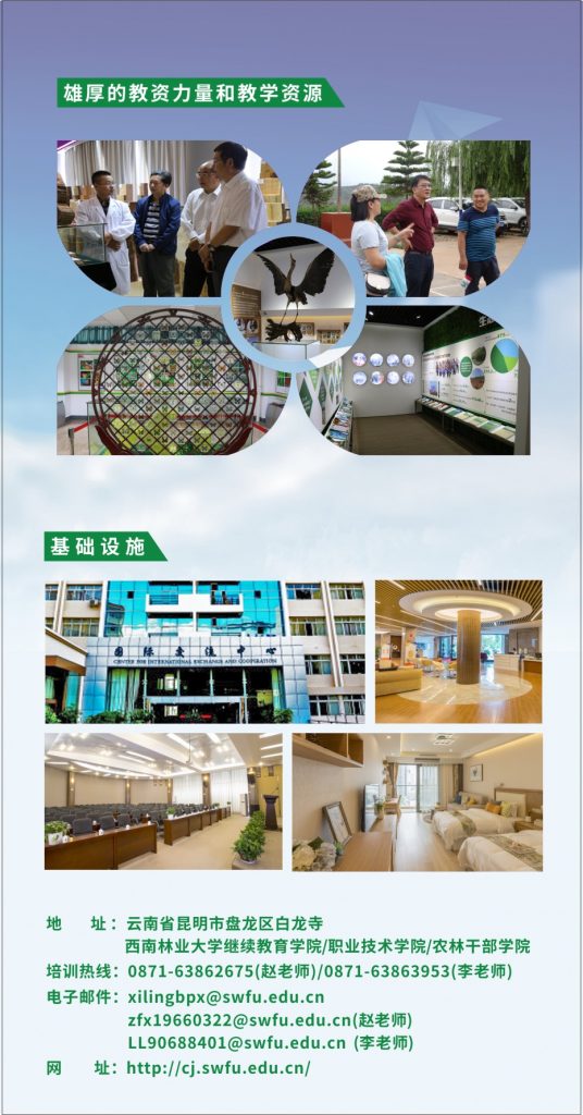 九游app(中国)官方网站