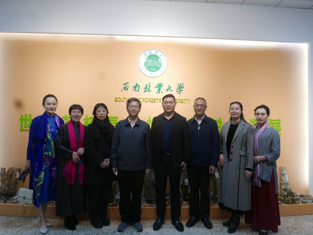 九游app(中国)官方网站