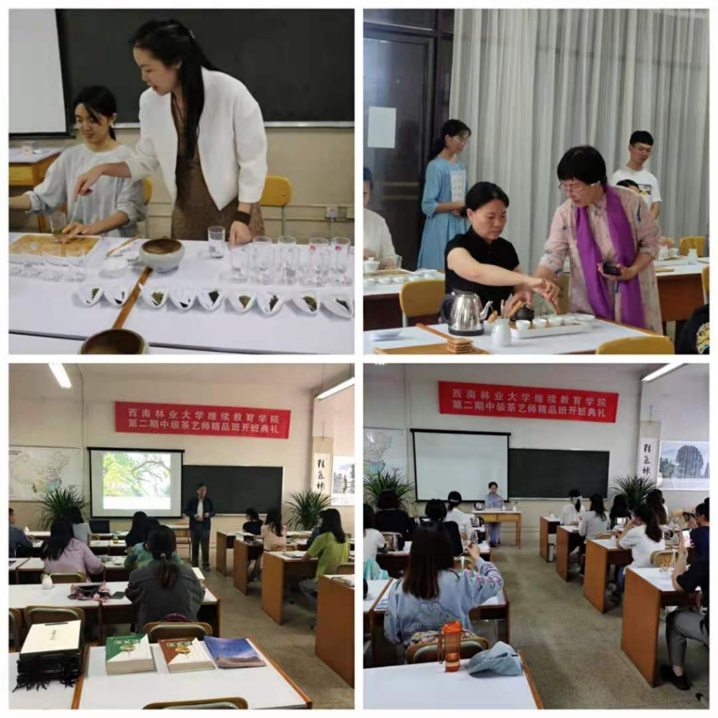 九游app(中国)官方网站