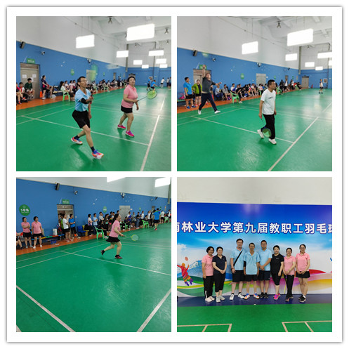 九游app(中国)官方网站