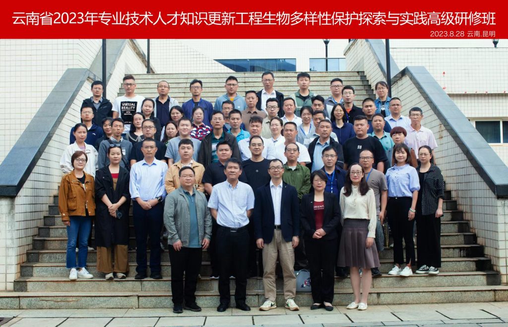 九游app(中国)官方网站