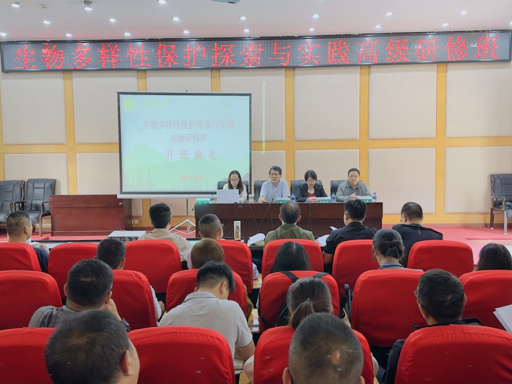 九游app(中国)官方网站
