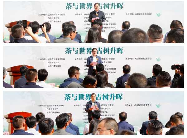 九游app(中国)官方网站