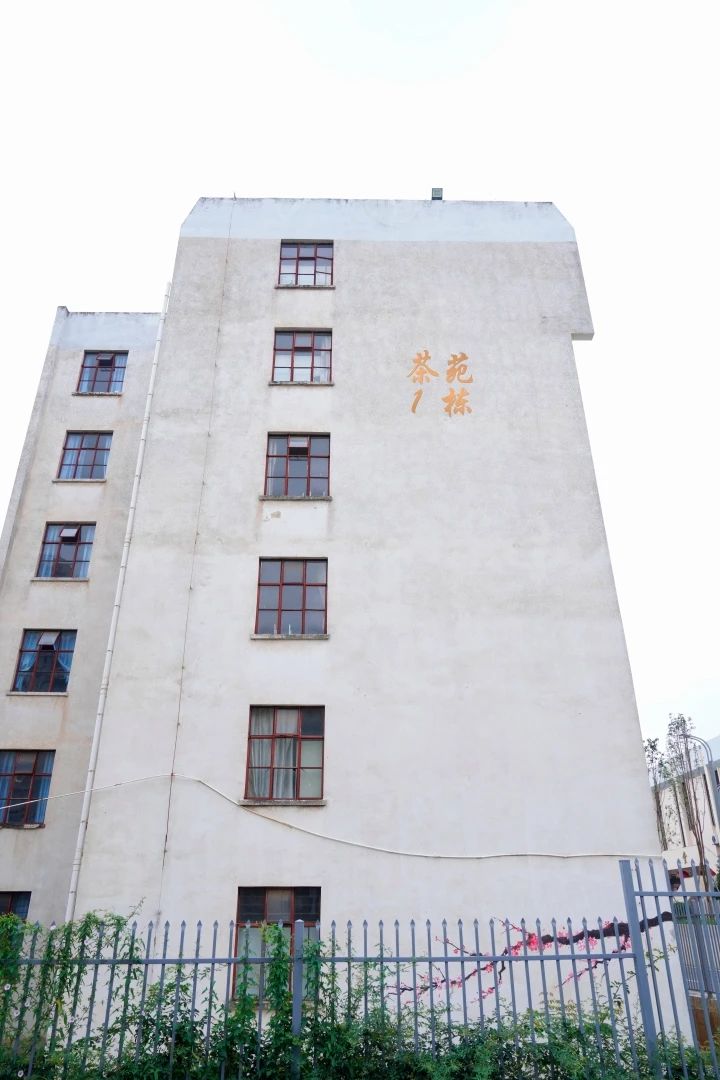 九游app(中国)官方网站