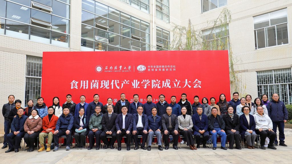 九游app(中国)官方网站