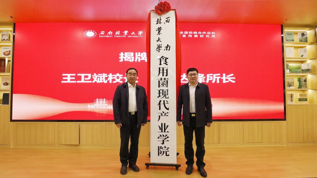 九游app(中国)官方网站